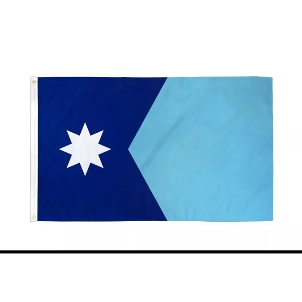 Minnesota Flag 3x5ft House Flag New US State Flag MN Flag